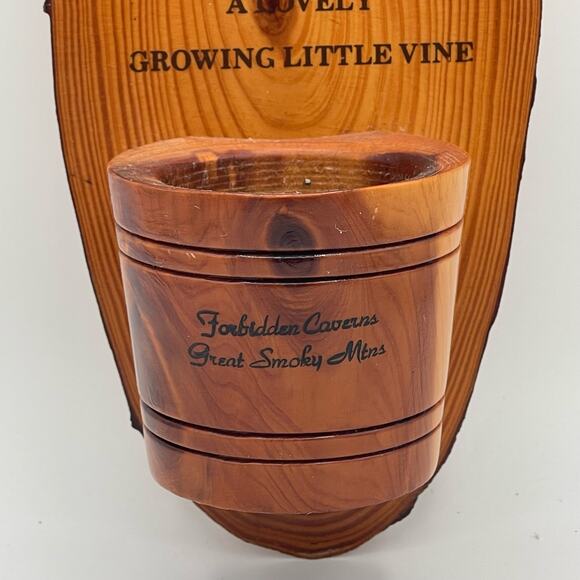 Great Smokey Mtns Wood Vine Planter from Forbidden Caverns Rustic Polished Wall - Picture 3 of 11